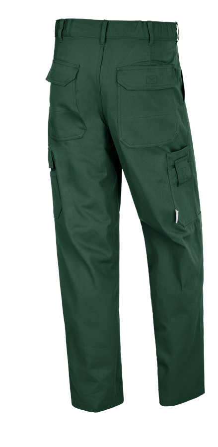 Secondary image STONEKIT Trousers Aalborg green