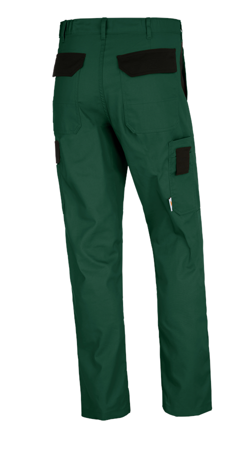 Secondary image STONEKIT Trousers Odense green/black