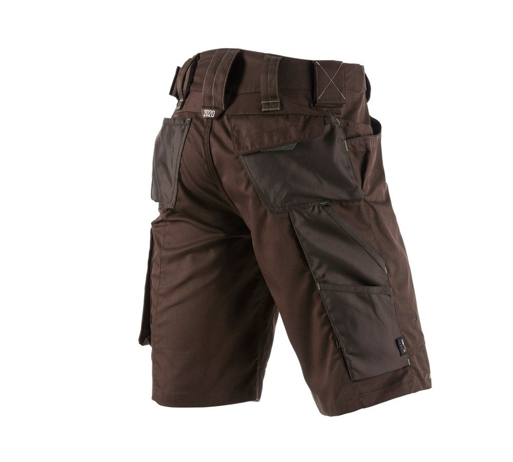 Secondary image Shorts e.s.motion 2020 chestnut/seagreen