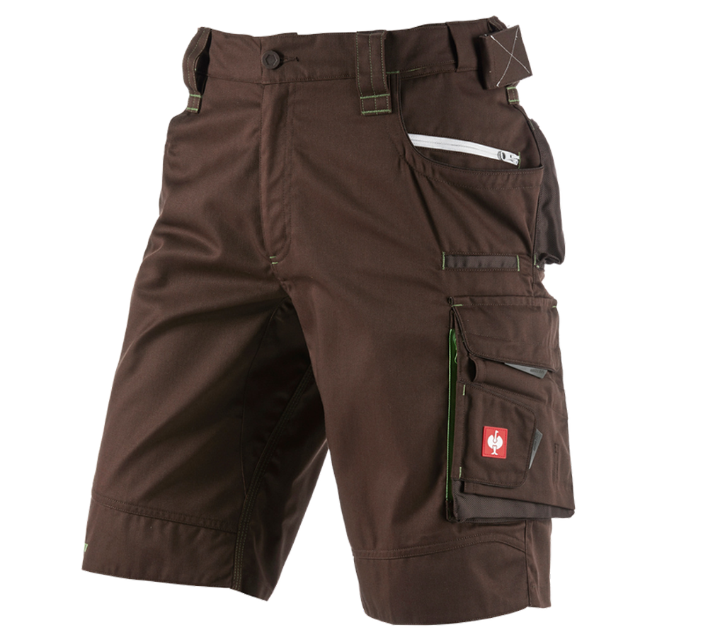 Primary image Shorts e.s.motion 2020 chestnut/seagreen